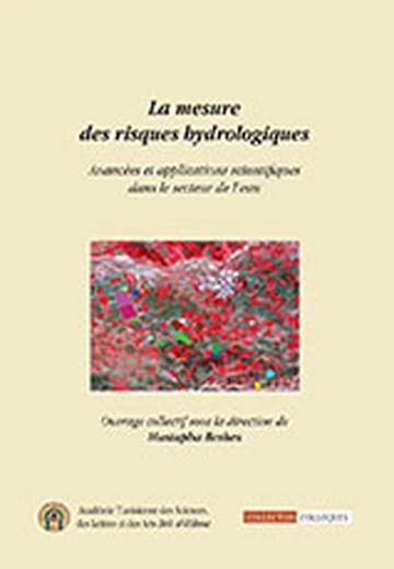 Cover of La Mesure des Risques Hydrologiques Avancées et Applications Scientifiques dans le Secteur de l’Eau