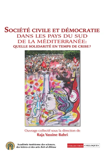 Cover of Société Civile et Démocratie dans les Pays du Sud de la Méditerranée: Quelle Solidarité en Temps de Crise ?