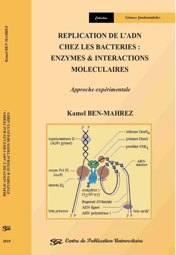 Cover of Replication de l’Adn chez les Bacteries : Enzymes & Interactions Moleculaires