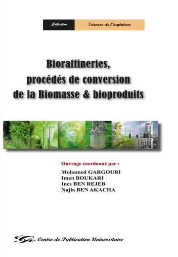 Cover of Bioraffineries, Procedes de Conversion de la Biomasse et Bioproduits